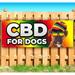 CBD For Dogs 13 oz Vinyl Banner With Metal Grommets
