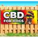 CBD For Dogs 13 oz Vinyl Banner With Metal Grommets