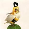 QWANG Funny Bee Shaped Birds Clothes Flying Suit Parrots Costume Cosplay Winter Warm Hat Hooded Pet Accessories For Parakeet Cockatiel