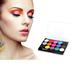 Kripyery DIY Make Up Body Art Face Painting Multicolor Powder Safe Non-Toxic Pigment