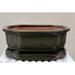 Bonsai Boy of New York 8.5 x 6.5 x 3 in. Olive Green Ceramic Bonsai Pot with Humidity Drip Tray Rectangle