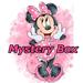 Disney Other | Disney Inspired Mystery Box | Color: Red | Size: Os