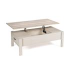 Lift Up Top Coffee Table with Hidden Storage Compartment
