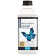 Decorators Varnish - Dead Flat - 1 Litre - Polyvine