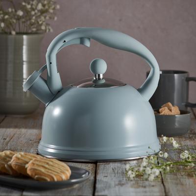 Otto Blue Stovetop Kettle