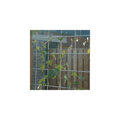 Mattenzaun Betonstahlmatten Baustahlmatten feuerverzinkt 2x3m 5/100mm - Intergard Image