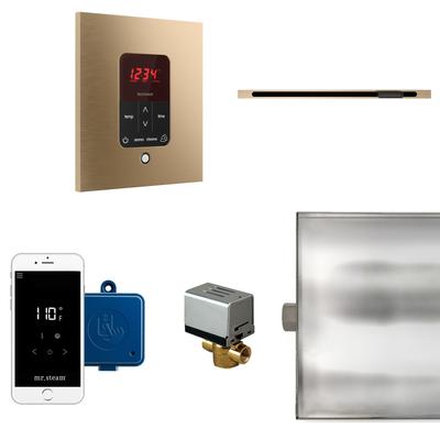 Mr Steam BTLRL1S Butler Linear Steam Generator Control Kit / Package