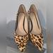 Jessica Simpson Shoes | Gently Worn Jessica Simpson Animal Print Pumps | Color: Black/Brown | Size: 6.5