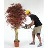 Acero Semi-Naturale · Rosso · Tronco Jamaica · cm. 200 - 200