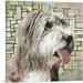 ARTCANVAS Bearded Collie Dog Breed Geometric Canvas Art Print - Size: 12 x 12 (1.50 Deep)