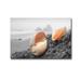 Artistic Home Gallery Crescent Beach Shells No.20 by Alan Blaustein Premium Gallery-Wrapped Canvas Giclee Art - 16 x 24 x 1.5 in.