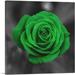 ARTCANVAS Green Rose Flower In Garden Canvas Art Print - Size: 26 x 26 (1.50 Deep)