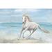 Highland Dunes Gallop on the Beach by Danhui Nai - Wrapped Canvas Graphic Art Canvas | 12 H x 18 W x 1.25 D in | Wayfair