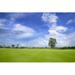 Ebern Designs Golf Course Metal | 32 H x 48 W x 1.25 D in | Wayfair F8D53FC4DA2C403394C8A488B92806EF