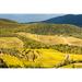 Loon Peak® Italy Tuscan Valley In Autumn Poster Print By George Theodore (36 X 24) # EU16GTH0037 Paper in Green/Yellow | 24 H x 36 W in | Wayfair