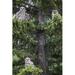 Loon Peak® A Family Of Great Horned Owls (Bubo Virginianus) Sit In A Tree; Saskatchewan Canada Poster Print (12 X 19) Paper | Wayfair