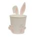 August Grove® Easter Bunny Metal Bucket Metal in White | 9.75 H x 6 W x 5.5 D in | Wayfair 6A130829E2EB401B8185D2E6BF6CC1EC