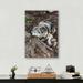 Loon Peak® Resting Wolf - Unframed Photograph on Metal in Brown/Gray | 24 H x 18 W x 0.12 D in | Wayfair 4829B871101540A78E99559C6F77DC76