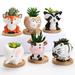 Succulent Pot with Drainage 6Pcs Indoor Ceramic Succulent Pot Succulent Planter Cute Animal Succulent Pot Small Plant Pot Planter Set for Home Decor