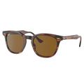 Ray-Ban RB2298 Hawkeye Sunglasses Striped Havana Frame Brown Lens 50 RB2298-954-33-50