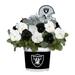 Las Vegas Raiders Cool Weather Flower Mix