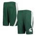 Youth Green Michigan State Spartans Team Mesh Shorts