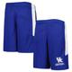 Youth Royal Kentucky Wildcats Mesh Shorts