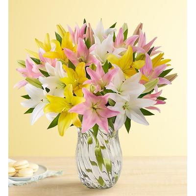 1-800-Flowers Flower Delivery Sweet Spring Lilies + Free Vase Double Bouquet W/ Free Clear Vase