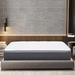 Equilibria 12 in. Medium Memory Foam & Pocket Spring Hybrid Euro Top Bed in a Box Mattress