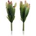 2 Pack Real Looking Artificial Cactus Artificial Cactus Plant DIY Material for Home Decoration Flower Arrangement