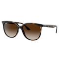 Ray-Ban RB4378F Sunglasses - Women's Havana Frame Brown Gradient Lens Asian Fit 54 RB4378F-710-13-54