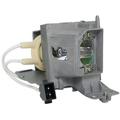 Philips 61480-OP Infocus SP-LAMP-100 Projector Lamp Module