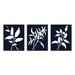 Birch Lane™ Botanical in Blue #2 - 3 Piece Picture Frame Graphic Art Set Paper in Blue/White | 1.25 D in | Wayfair 3B5D602DCF7E4E4E9AB6AC951CF177CD