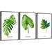 Bayou Breeze Plants Framed Wall Art - 3 Piece Picture Frame Print Set On Canvas_QS38-2 Canvas in Green/White | 24.3 H x 48.3 W x 1.65 D in | Wayfair