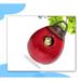 Red Barrel Studio® 8 in x 6 in x 6 in Birdhouse redCeramic | 8 H x 6 W x 6 D in | Wayfair ACD1C9A5D62042048F437790503FCB04