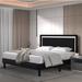 Red Barrel Studio® Arielis Panel Bed Upholstered/Velvet in Black/White | 45.7 H x 55.1 W x 77.2 D in | Wayfair 17C2D75158064C2A8C24B71D64E84232