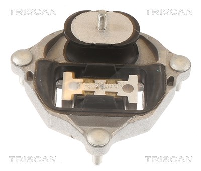 Triscan Lagerung, Schaltgetriebe [Hersteller-Nr. 850529215] für Audi Image