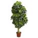 Nearly Natural 5 Schefflera Artificial Tree (Real Touch)