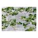 Fly Trend King, LLC Upcoming Spring Wall Mural Non-Woven in Gray/Green | 82.68 W in | Wayfair A1-SNEW011163