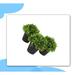 Primrue 5.2" Artificial Boxwood Topiary in Pot | 5.2 H x 5 W x 5 D in | Wayfair 0050FCCE5DD24D6D8D28BFA650545D6F