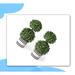 Primrue 2 - Piece Artificial Boxwood Topiary in Planter Set | 12.5 H x 5.5 W x 5.5 D in | Wayfair E79AAE86351044B68CA4941642D7C4EF