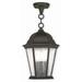 3 Light Outdoor Pendant Lantern in Traditional Style 9.5 inches Wide By 14 inches High Bailey Street Home 218-Bel-1875508