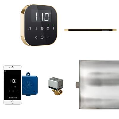 Mr Steam ABTLRLBK AirButler Linear Steam Generator Control Kit /