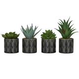 Novogratz Cole & Grey Traditional Plastic Succulents Artificial Foliage Porcelain | 6.55 H x 4.45 W x 4.55 D in | Wayfair 012990