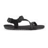 Xero Shoes - Z-Trail EV - Barfußschuhe US 8 | EU 41 schwarz