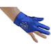 Delta Billiard Glove - Right Hand Blue