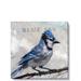 Darren Gygi Home Collection Blue Jay by Darren Gygi - Wrapped Canvas Graphic Art Canvas in White | 36 H x 36 W x 1 D in | Wayfair 197-B-3636