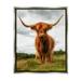 Stupell Industries Highland Cattle Long Horns Grazing Farm Ranch Photograph Luster Gray Floating Framed Canvas Print Wall Art Design by James Dobson