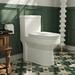 DeerValley Liberty Dual-Flush One-Piece Compact Toilet (Seat Included)