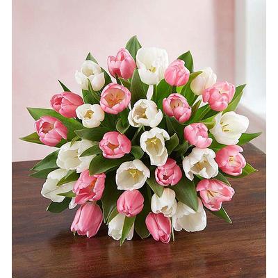 1-800-Flowers Seasonal Gift Delivery Sweet Spring Tulip Bouquet 30 Stems, Bouquet Only